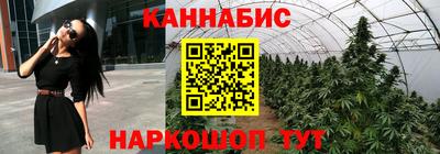 прущие грибы Анапа