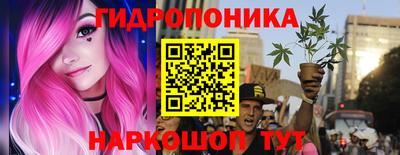 прущие грибы Анапа
