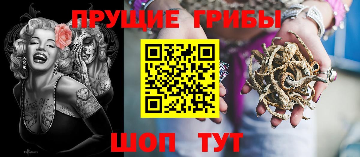 Галлюциногенные грибы MAGIC MUSHROOMS Тулун